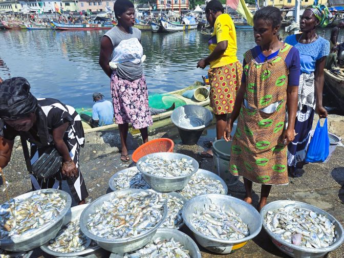Elmina Fish Market, Ghana 2025