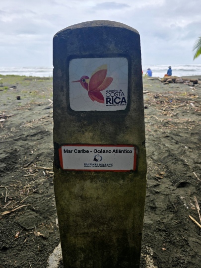 ��� ���� ������� �� �� ����� �� ����� ���� ���� ������ �� ��������� �������, 2026