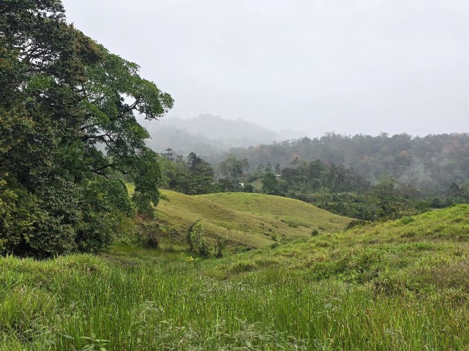 A lush, hilly, mist-covered landscape of rolling green pastures and forests, Limon area 2026