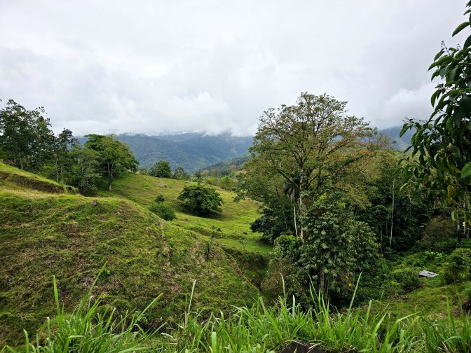 A lush landscape of gently sloping green hills combined with dense tropical rainforest, 2026