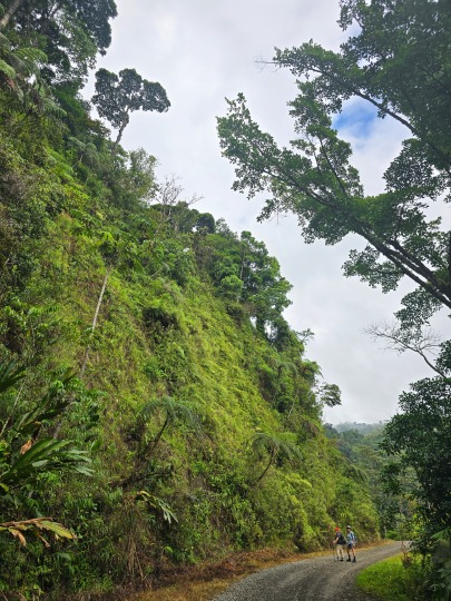 ����� ������ ������ ����� ���� ������ ������� �����, 2026