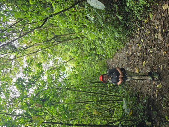 ����� ����� ���� ������ ������� ������, 2026