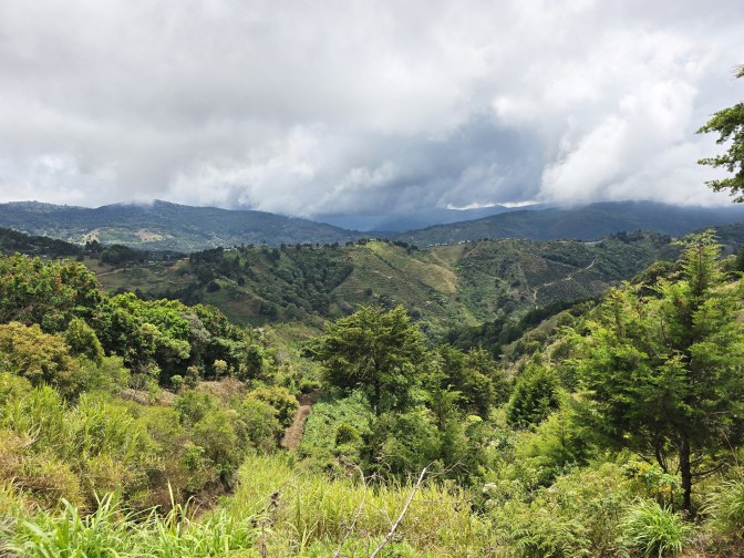 ����� ������, ����� ������� �����, 2026