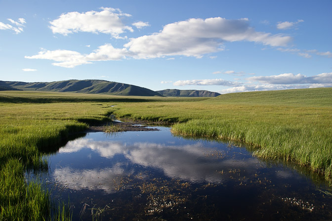 The green grass and the steppe watery soil at the south end of Targan Nuur (lake), North Mongolia 2010