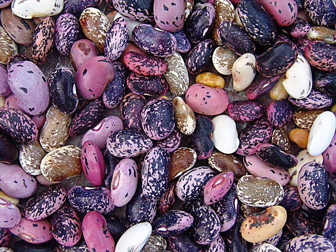 Colorful shelled beans in Bupsa, along the Khumbu Trail to the Everest, Nepal 2004