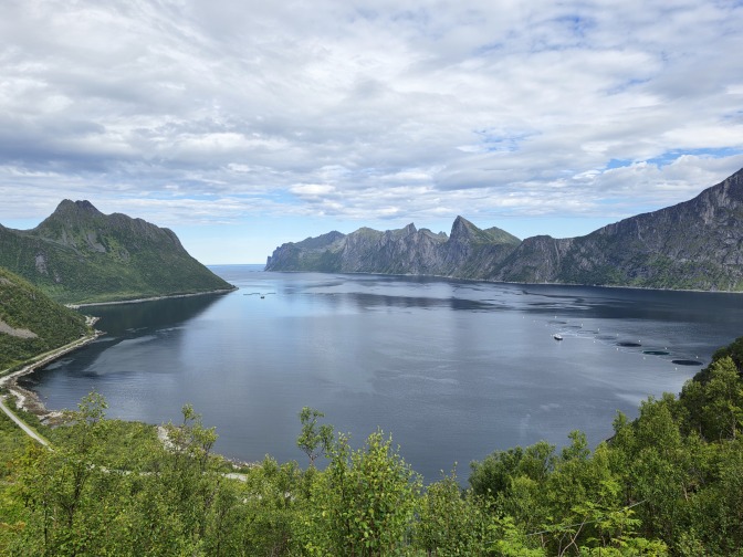 Foldfjorden, 2026 Foldfjorden, 2026