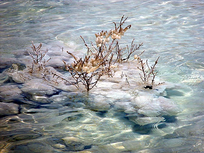Salt crystals in the Dead Sea, Neve Zohar 2003