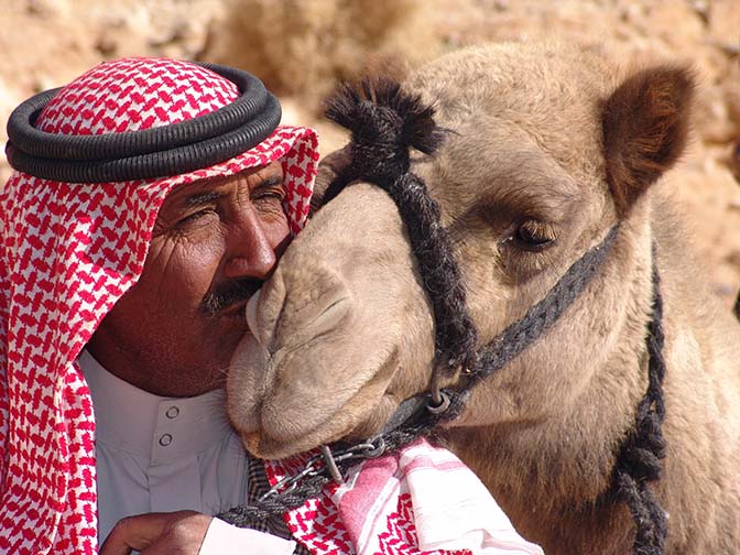 The kiss: Salim is kissing his camel Shaylan, Wadi Aheimir 2006
