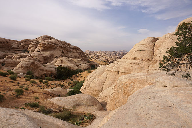 The round domes of white sandstone (Disi formation) on top of Jabel Armel, 2017